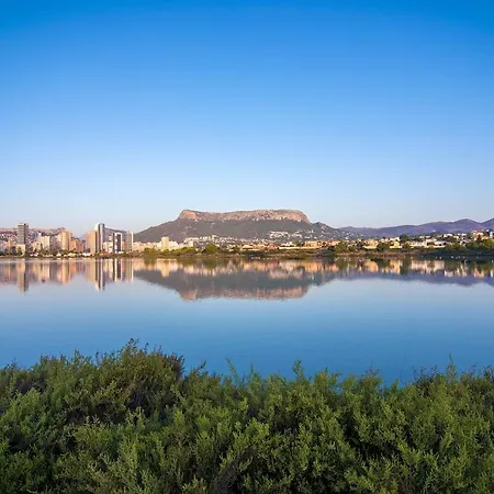 Guzman - Coral Lejlighed